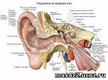 Воспаление среднего уха симптомы и лечение 