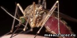 Средство против комаров